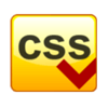 Rich Internet Application