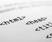 Web development